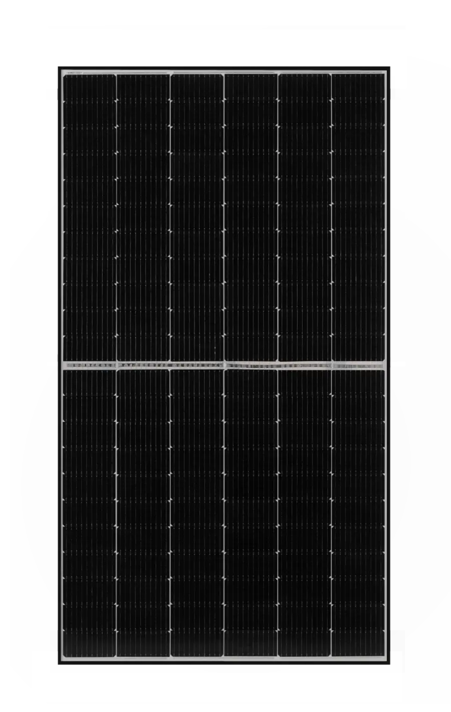 2885_66 TIGER MONO-FACIAL BLACK FRAME